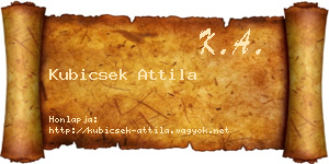 Kubicsek Attila névjegykártya