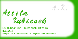 attila kubicsek business card